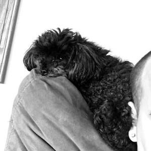 Meet your Posher, Dylan